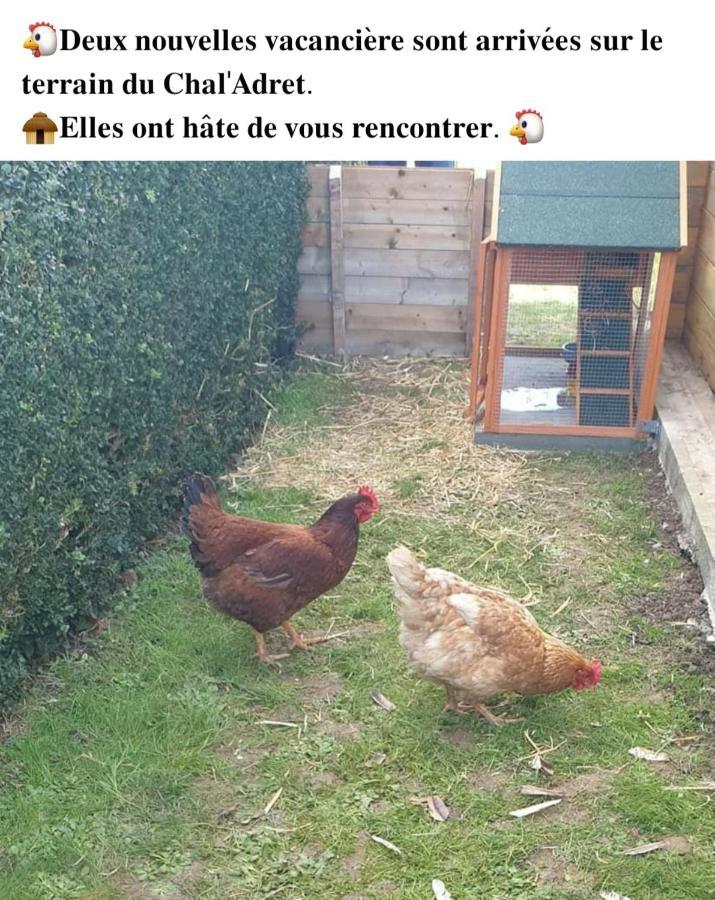 Cardonville Le Chal Adretヴィラ エクステリア 写真